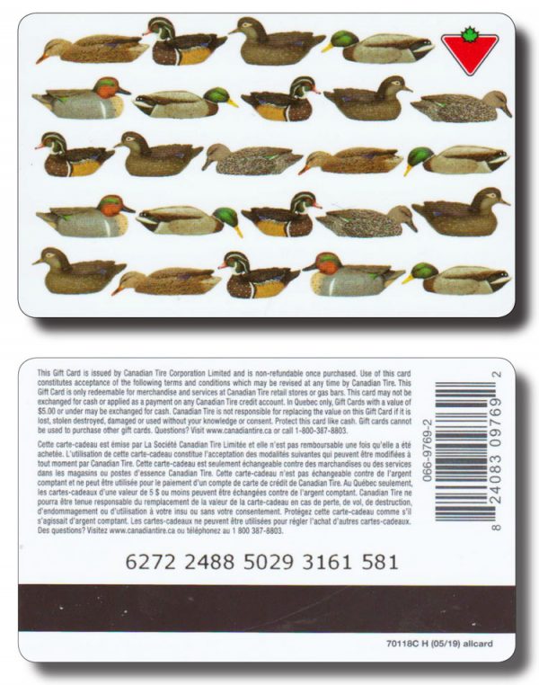 78VNR-DR-01-2488-0519-70118C